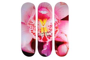 Nobuyoshi Araki Orchid Triptych Signed Skateboard - artistskateboard.com